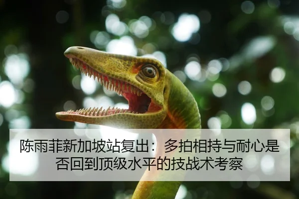 陈雨菲新加坡站复出：多拍相持与耐心是否回到顶级水平的技战术考察